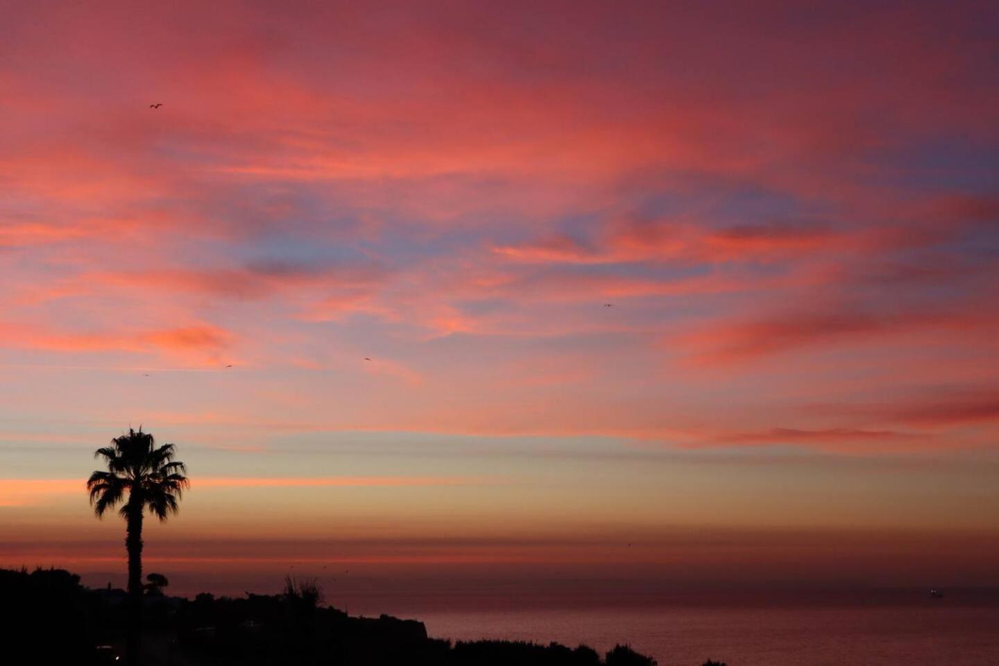 Sea View W Pool, Terrace & Parking Apartman Cascais Kültér fotó